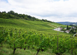 031 - am Tüllingerhügel -DE